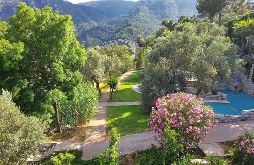 Turunc Apartment | If you can imagine relaxing under the olive trees sipping a Gin & Tonic!