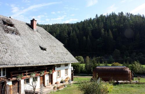 Voehrenbach House | Igluhut Tiny House Winterberghof