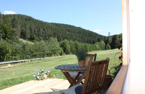 Voehrenbach House | Igluhut Tiny House Winterberghof