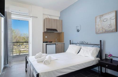 Pidima Kyras Apartment | Iguana studio 2