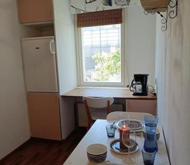 Ylamylly Apartment | Ihana yksiö joen ja torin lähellä