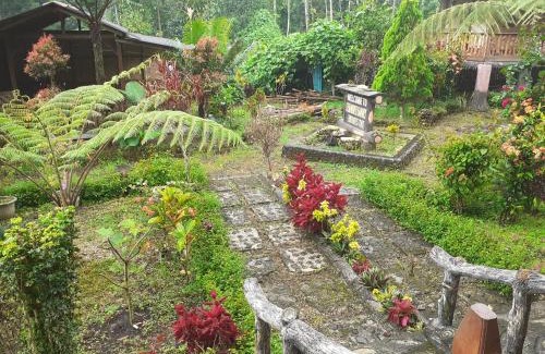 Banyuwangi House | Ijen Miner Family Homestay