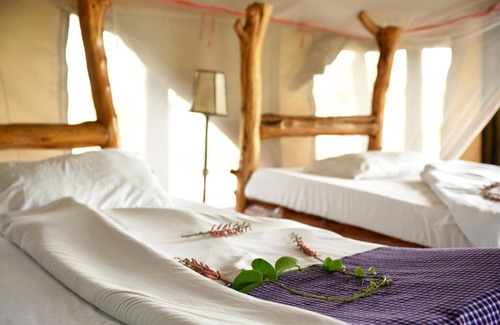 Serengeti National Park Other | Ikoma tented Camp