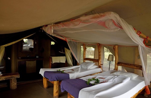 Serengeti National Park Other | Ikoma tented Camp