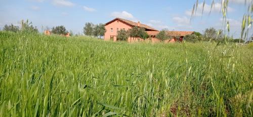 Aprilia Bed & Breakfast | Il Casale di Giulia di Aprilia
