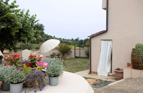 Crespina House | Il Colle affittacamere