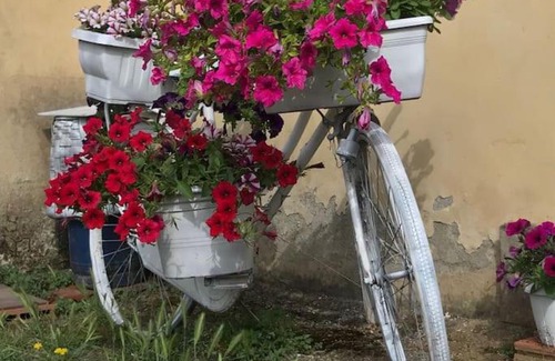 Neri House | Il cuore nel bosco