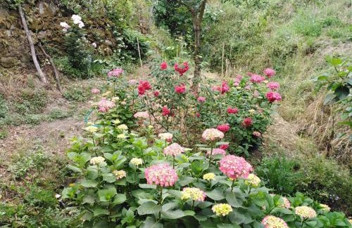 Lavaggiorosso Bed & Breakfast | Il Ghiro