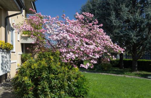 Trenzano Bed & Breakfast | Il Giardino