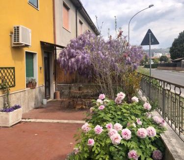 Arpino Apartment | Il Lanificio airb&b