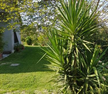Teano Bed & Breakfast | Il Moro Bianco