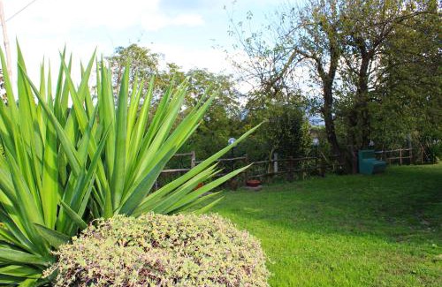 Teano Bed & Breakfast | Il Moro Bianco