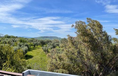 San Giacomo degli Schiavoni Apartment | Il Nido