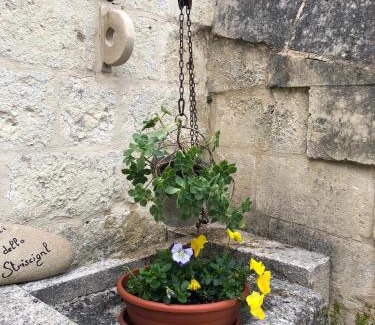 Sasso Barisano House | Il Nido dello Striscignl
