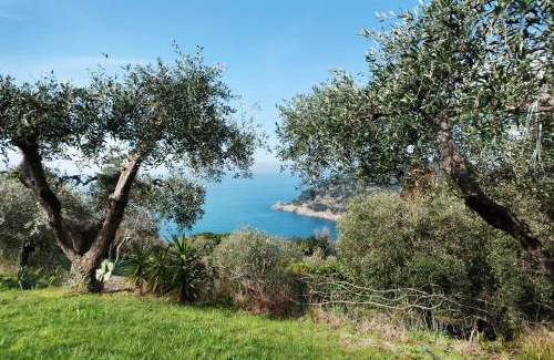 Bonassola Apartment | Il Paradiso Sul Mare