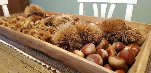 Vetralla Bed & Breakfast | Il Sartore