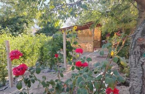 Luco dei Marsi Bed & Breakfast | Il Vecchio Casale