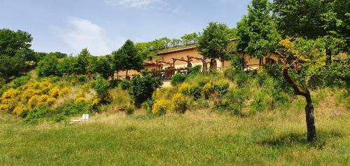 Norcia House | Il Vigneto