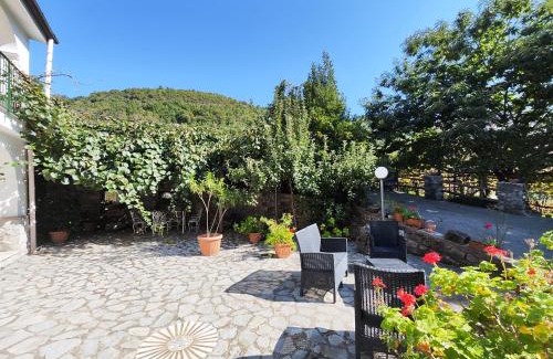 Tramonti Villa | Il Vigneto