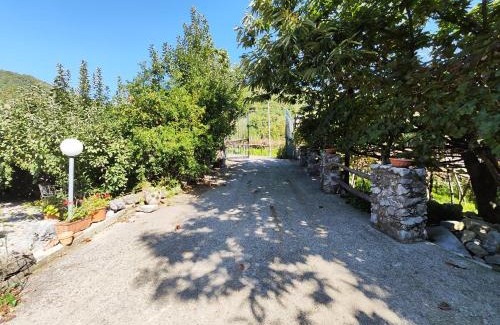 Tramonti Villa | Il Vigneto