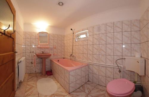 Sapinta House | ILEANA Săpânța