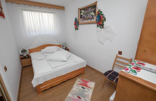 Sapinta House | ILEANA Săpânța