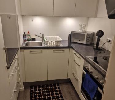 Sternhaule Apartment | IM SI-CENTRUM 1 ZIMMER APART#MUSICAL#MESSE#Flughafen