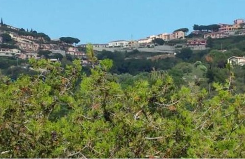 Madonna delle Grazie Apartment | In Multi Family House (5 flats), 400 mt to the beach, 4 pax, Kitchen, 2 bedroom, 1 bathrooms.