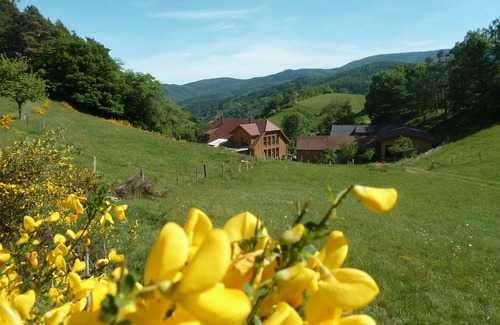 Rombach-le-Franc Cottage | In the center of Alsace and already in the Vosges