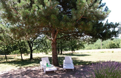 Salignac-Eyvignes Cottage | In the country side, near Sarlat, cottage with indoor heated swimming pool