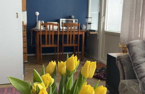 Vaasa Apartment | In the hot spot of Vaasa