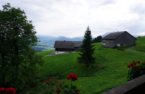 Schwarzenberg Apartment | In the middle of the Bödele skiing and hiking area