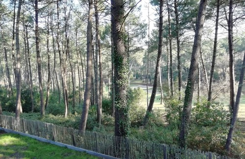 Lacanau-Ocean Apartment | In the middle of the pines, attractive apartment for 2 - 4 people