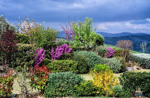 Il Poggio Apartment | In Tuscan farmhouse forming part of a hamlet in S. Casciano dei Bagni