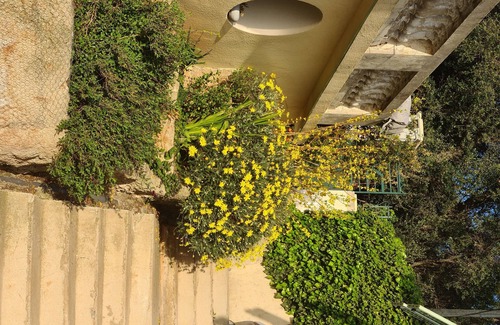 Mont Boron House | independent accommodation with exceptional sea view