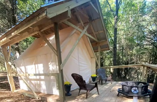 Otego Cabin | Indulge in our Forest Retreat