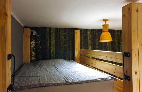Stara Morawa House | Industrium