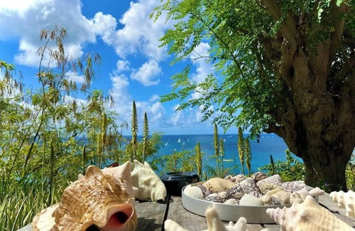 Indigo Bay Villa | Infinity Views Indigo Bay SXM