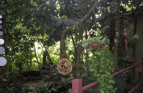 Aguas Zarcas House | Inlakech: Tropical, Magical & Charm