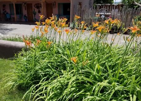 Taos Bed & Breakfast | Inn on the Rio