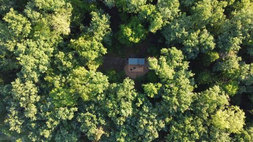 Saint-Laurent Cabin | Inspire Tiny