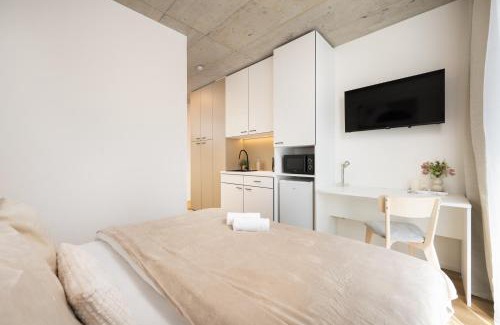 Brno-stred Apartment | Internesto Brno HUB