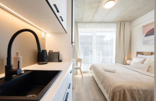 Brno-stred Apartment | Internesto Brno HUB