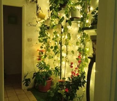 Gravina di Catania Apartment | INTERO APPARTAMENTO catania policlinico