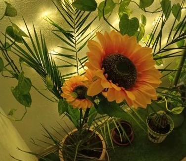 Gravina di Catania Apartment | INTERO APPARTAMENTO catania policlinico