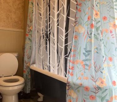 Binghamton Apartment | Intimate 1 Bedroom Apt by UHS