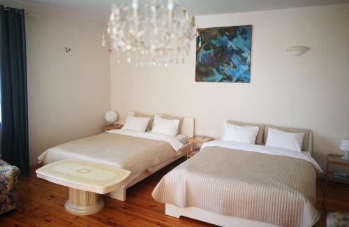 Vilnius House | Irena Family House