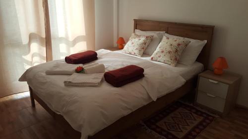 Ploiesti Apartment | Iri's Downtown Apartment no. 1
