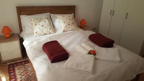 Ploiesti Apartment | Iri's Downtown Apartment no. 1