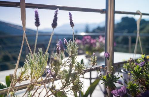 Bapiolos House | Iris Cretan Mountain Escape